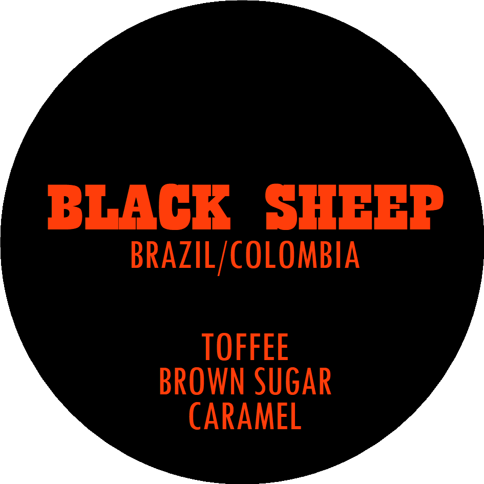 Black Sheep