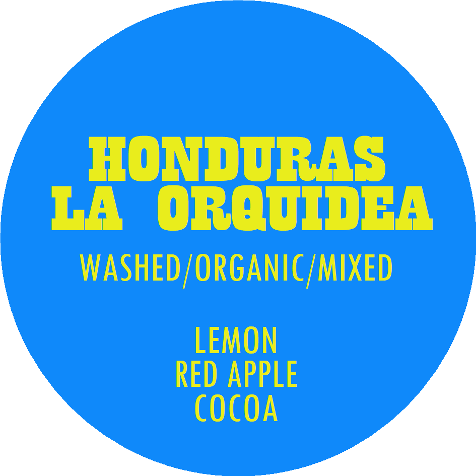 Honduras - La Orquidea
