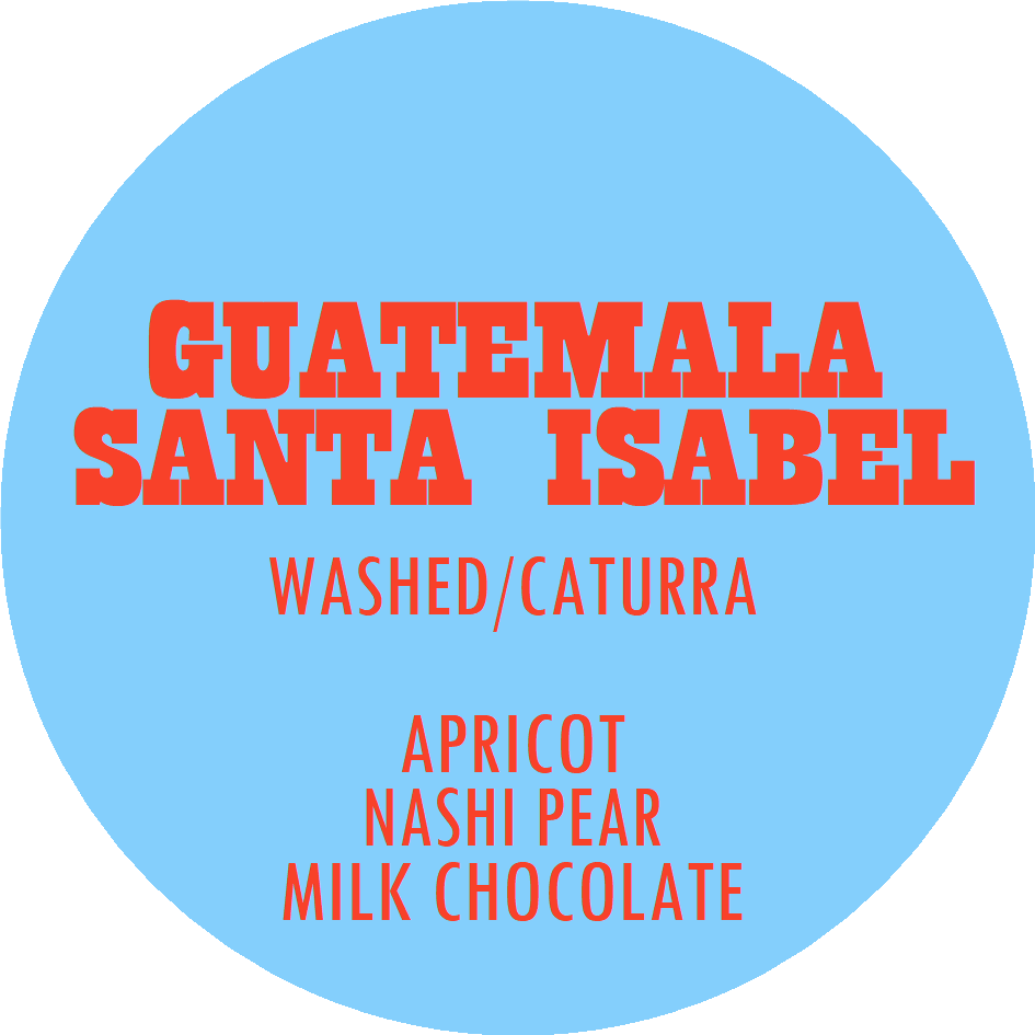 Guatemala - Santa Isabel Estate